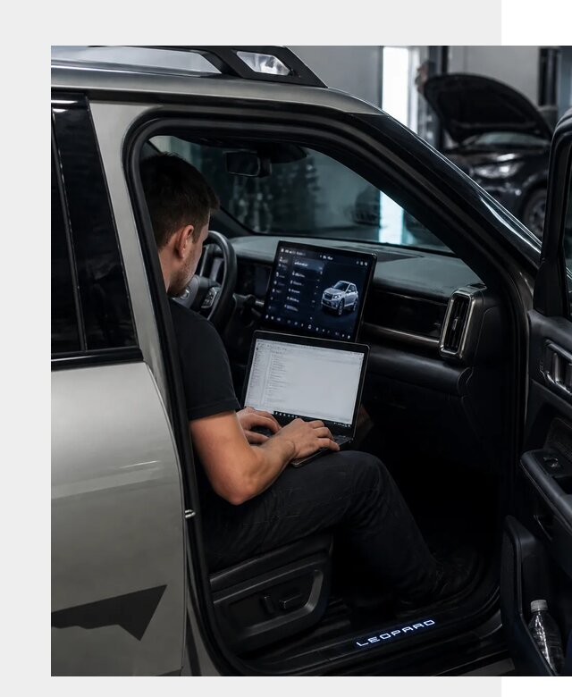Русификация BYD Leopard 3 в Пушкине по цене от 20642 р. | ФастМобиль-Пшк
